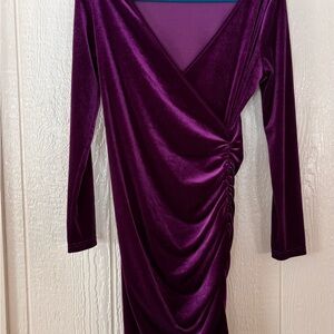 Chic Long Sleeve Velvet Dress in Deep Purple